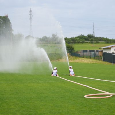 image-446